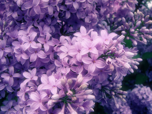 432719 (a): :1600x1200